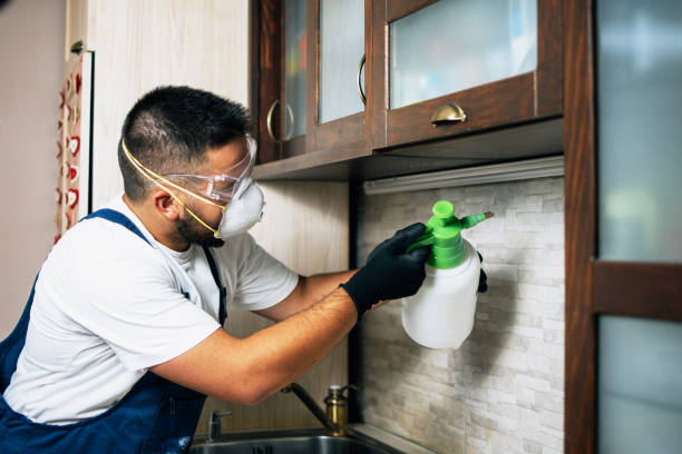 Best Wildlife Control Services  in Grover Beach, CA