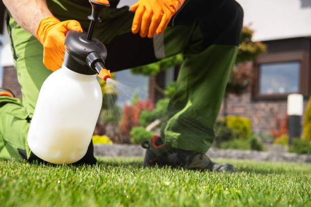 Best Pest Prevention Services  in Grover Beach, CA