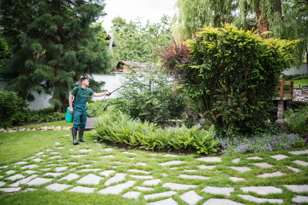 Best Pest Control Near Me in Grover Beach, CA
