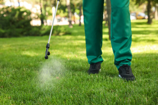 Best Local Pest Control Services  in Grover Beach, CA