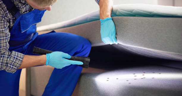 Best Affordable Pest Control Services  in Grover Beach, CA