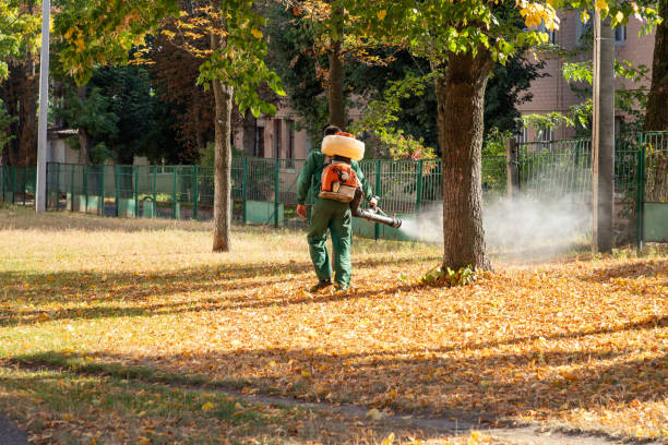 Best Residential Pest Control  in Grover Beach, CA