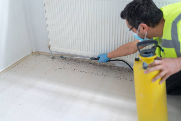  Grover Beach, CA Pest Control Pros