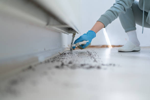 Trusted Grover Beach, CA Pest Control Experts