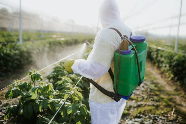 Best Termite Control Services  in Grover Beach, CA